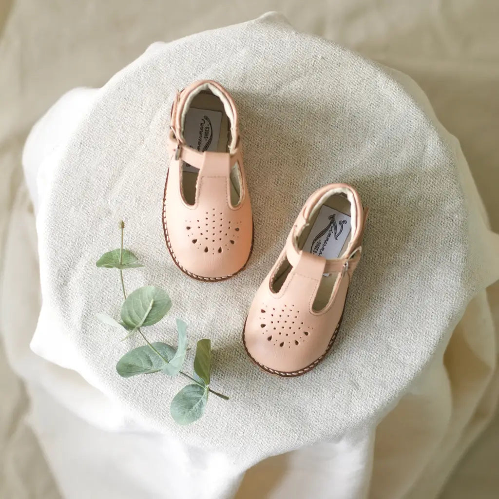 Little Girls Leather Dress Shoe Pink Leather T Strap 3 (Infant) / Medium (E) Little Girls Leather Dress Shoe Pink Leather T Strap 3 (Infant) / Medium (E)